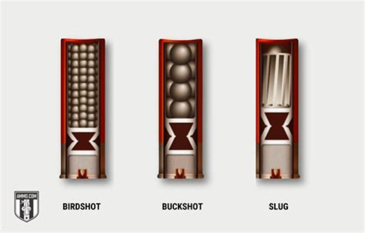 Can you shoot a sabot slug out of a smooth bore?