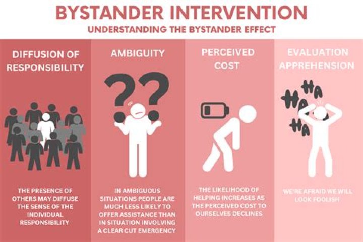 Can you spell bystander bystander?