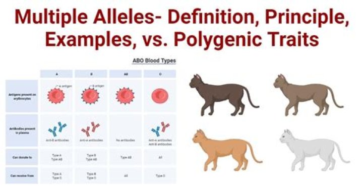 Can you tell if a trait is polygenic?