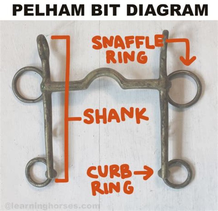 Can you use a grackle with a pelham?