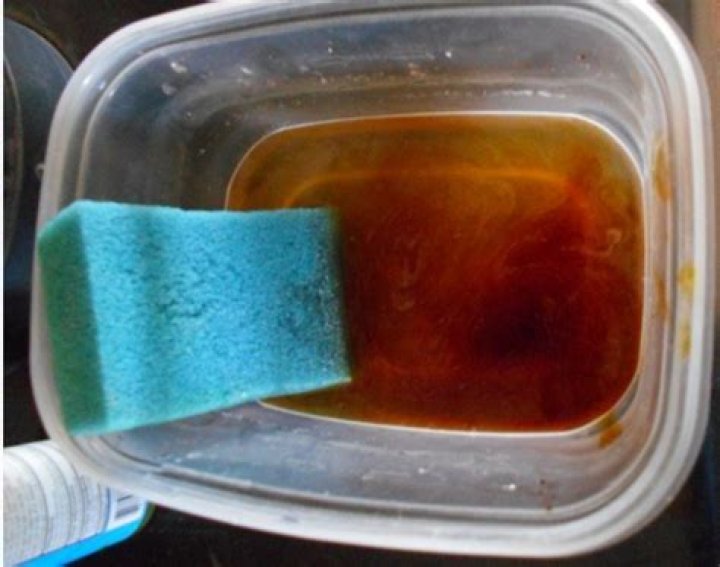 Can you use iodine on dogs?
