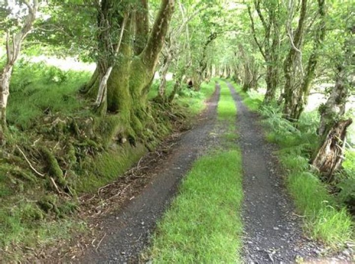 Can you visit bron yr aur?