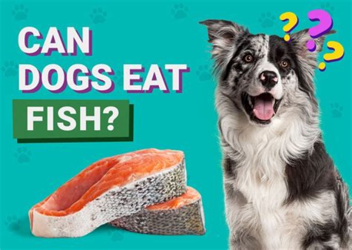 Could dogs eat hummus?
