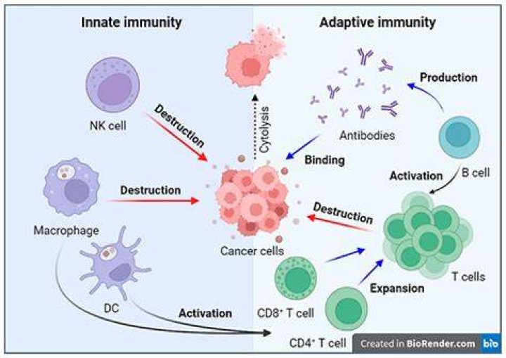 Could i be reinfected with covid?