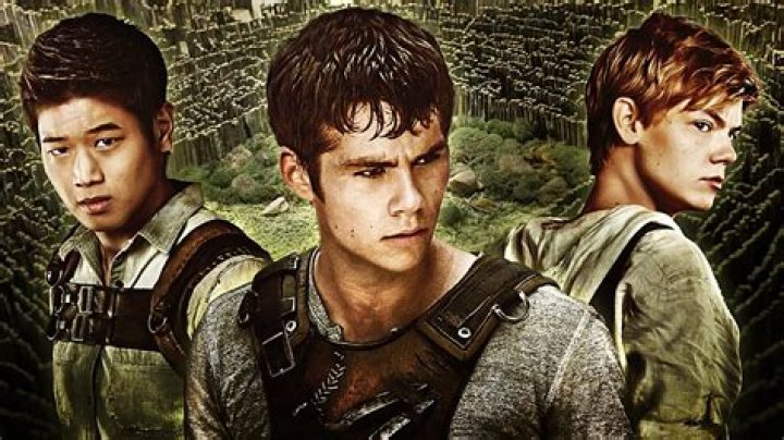 Could there be another maze runner?