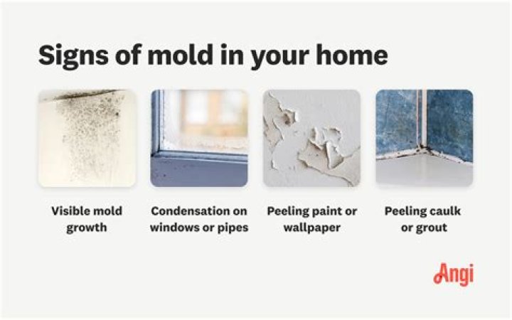 Could there be mold in my walls?