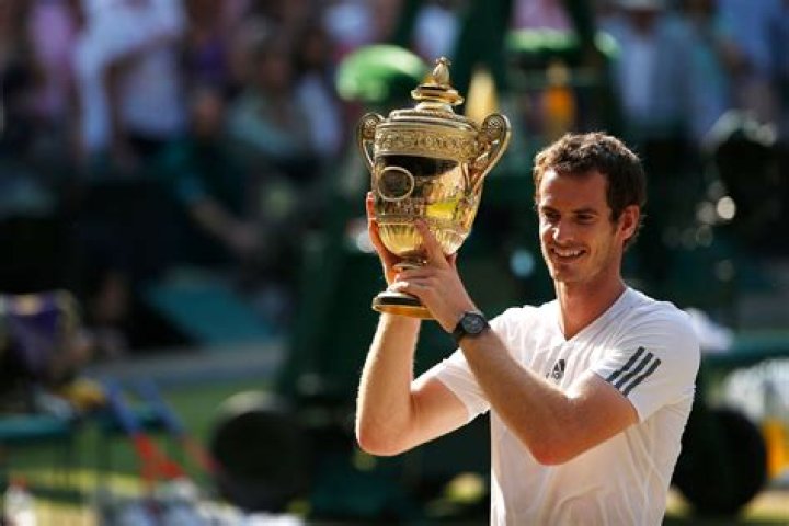 Did andy roddick win wimbledon?