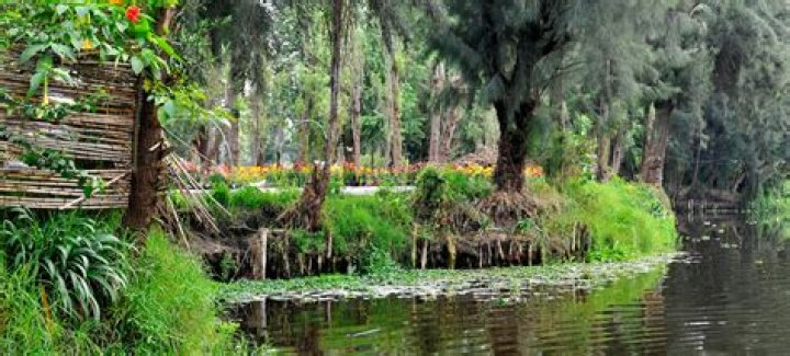Did aztecs have floating gardens?
