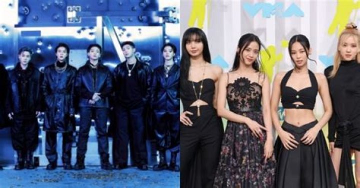 Did bts attend vma 2019?