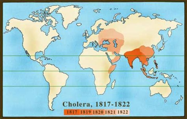 Did cholera come from india?