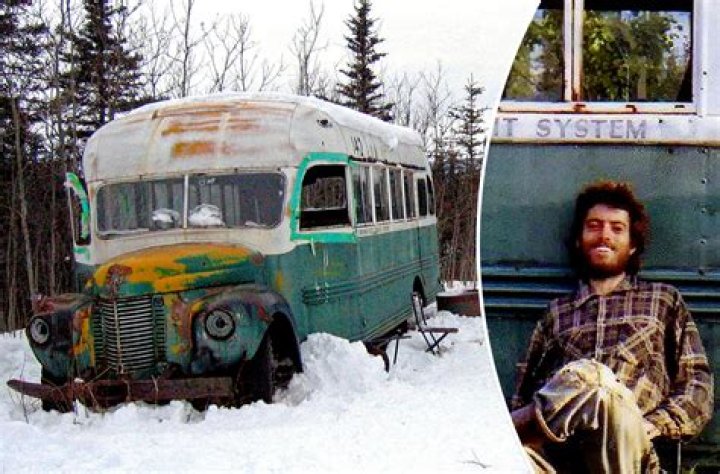 Did chris mccandless kill a moose?