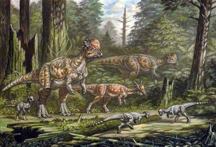 Did dinosaurs shed skin?