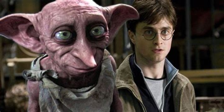 Did dobby have to die?