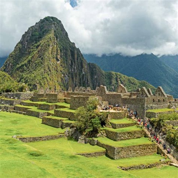 Did incas grow crops?