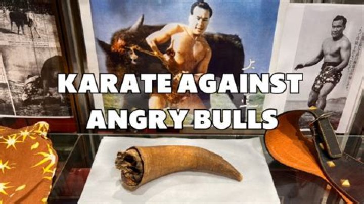 Did mas oyama kill bulls?