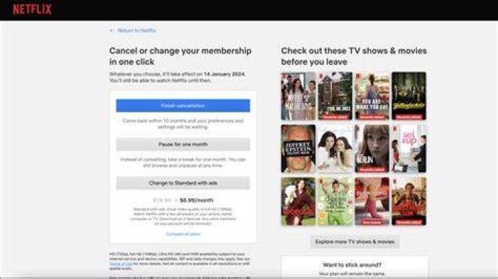 Did netflix cancel flaked?