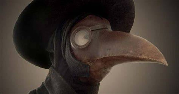 Did plague doctor outfits work?