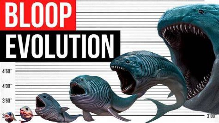Did the bloop exist?