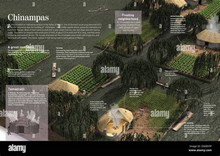 Did the incas use chinampas?
