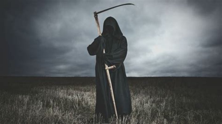 Did the reapers win?