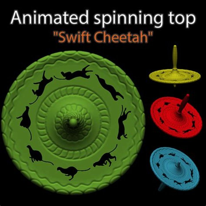 Did the totem stop spinning?
