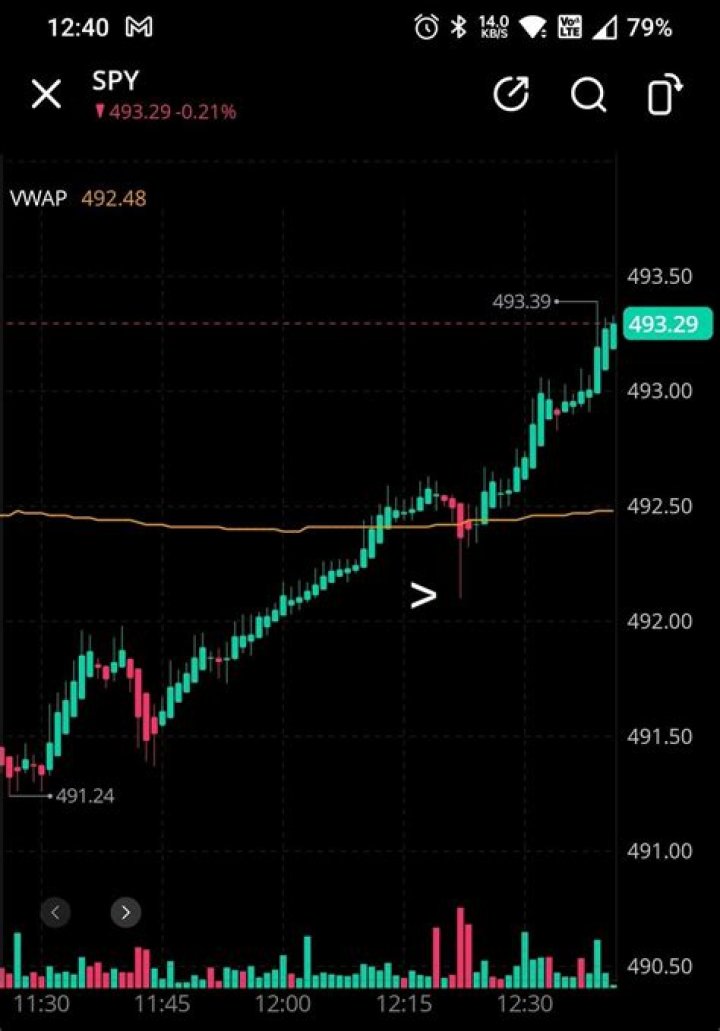 Did wallstreetbets get taken down?