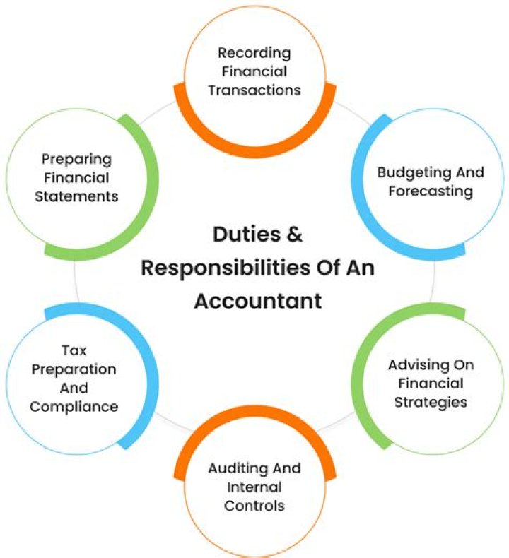 Do accountants do auditing?