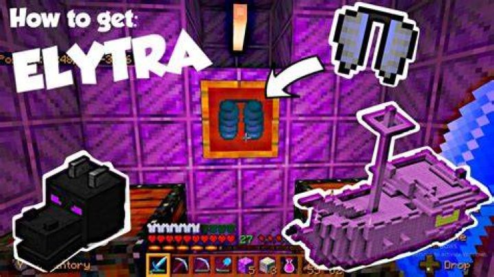 Do all end ships have elytra?