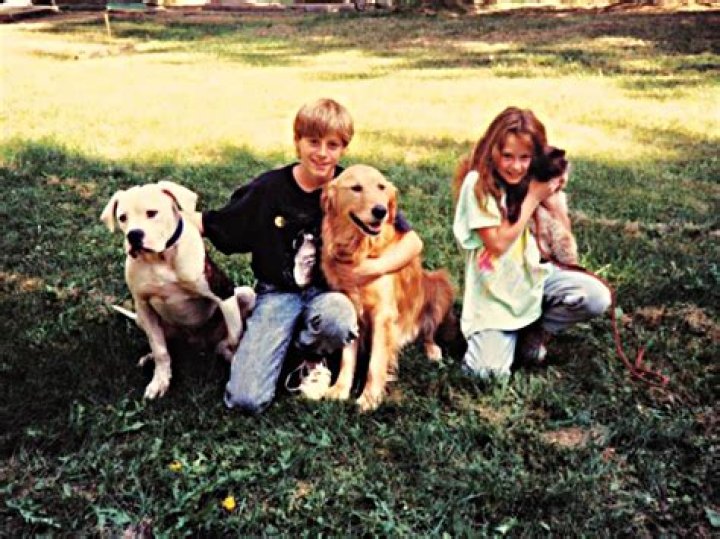 Do all the animals live in homeward bound?