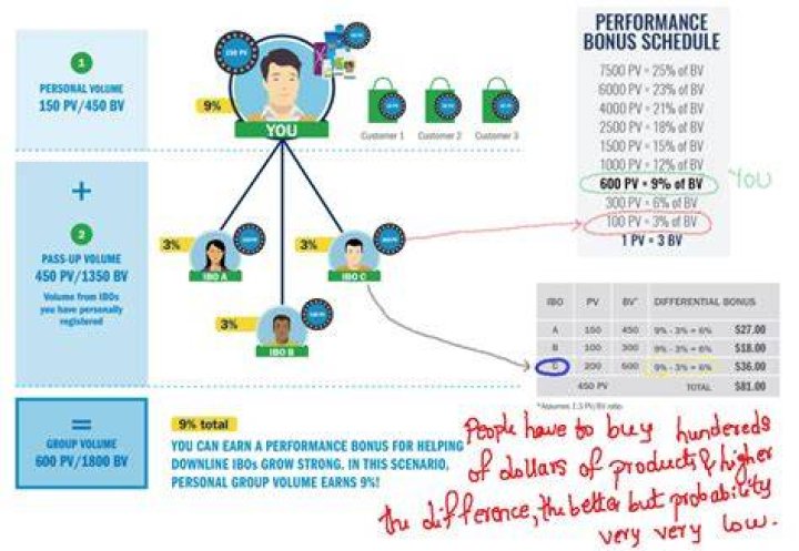 Do amway ibo make money?