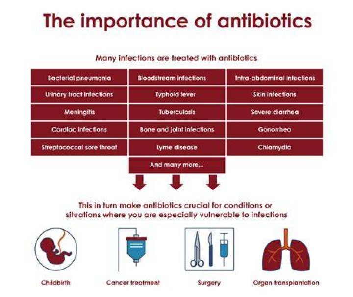 Do antibiotics intensify alcohol?