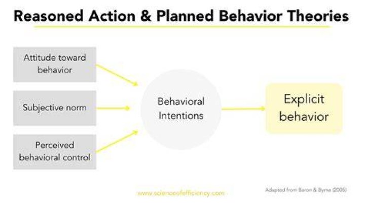 Do attitudes influence behavior?