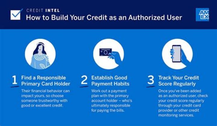 Do authorized users get credit history?