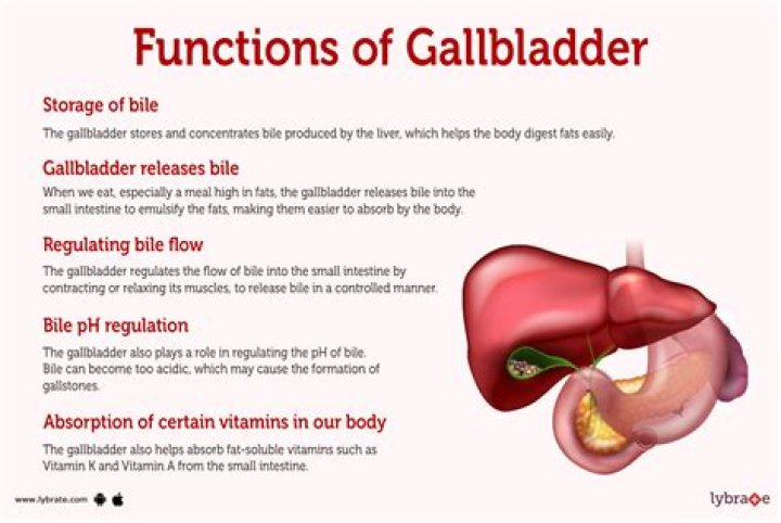 Do birds have gallbladders?