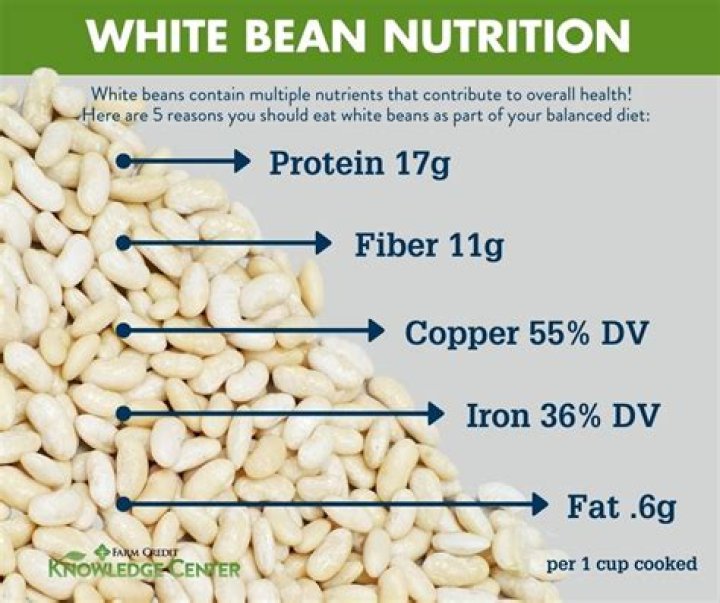 Do cannellini beans have protein?