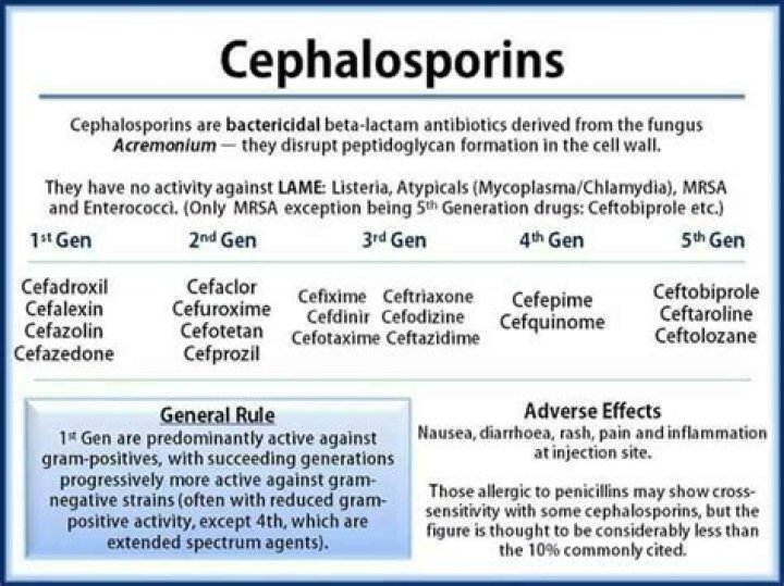 Do cephalosporins treat enterococcus?