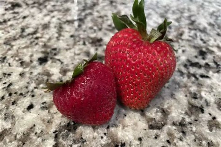 Do cut strawberries go bad faster?