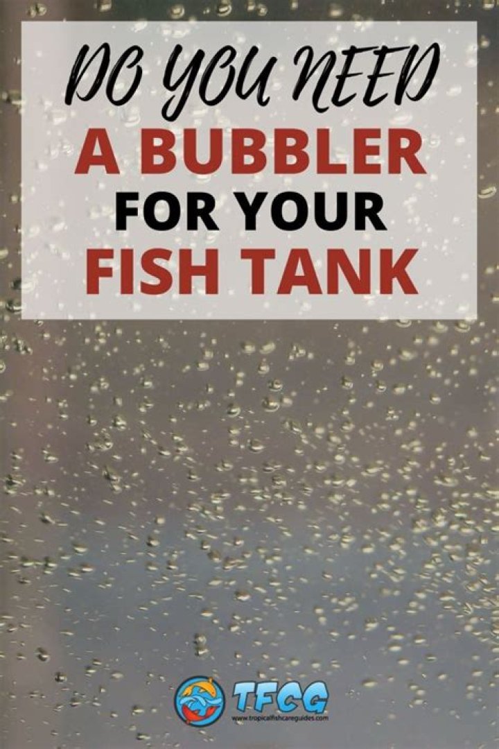 Do fish tanks need bubblers?