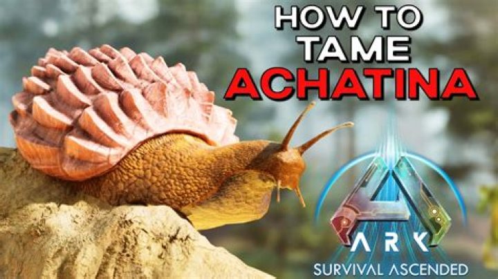 Do gachas eat achatina paste?
