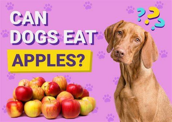 Do glis glis eat apples?