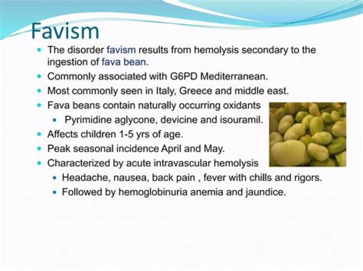 Do i have favism?