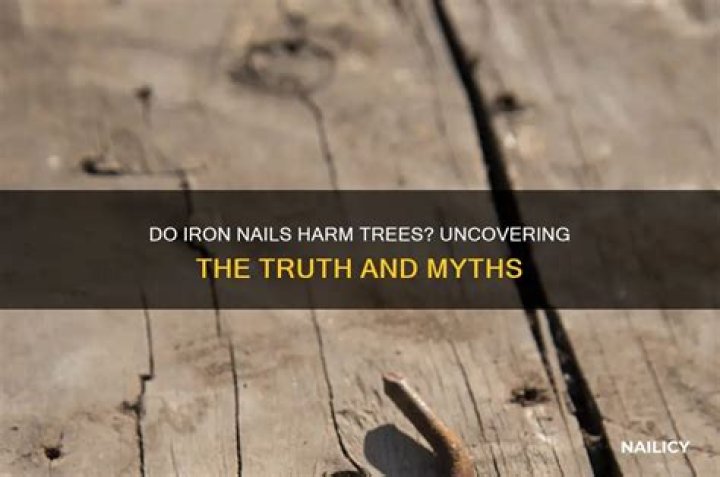 Do iron nails kill trees?