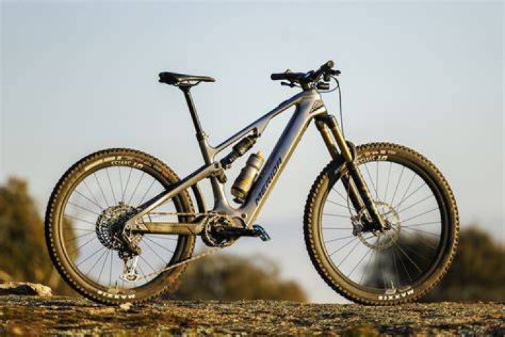 Do merida own specialized?