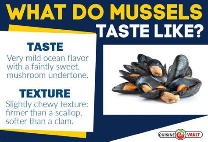 Do mussels taste like oysters?