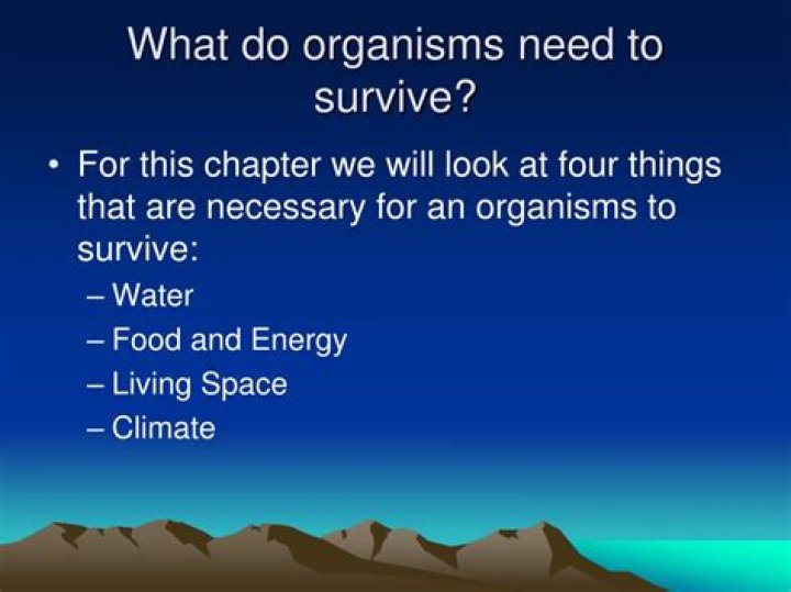 Do organisms need to survive?