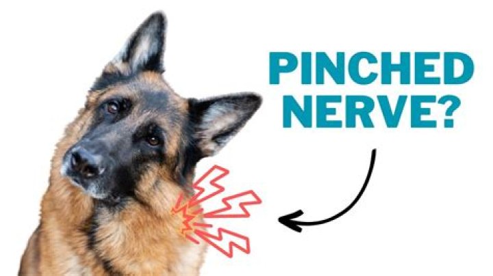 Do pinched nerves show up on mri?
