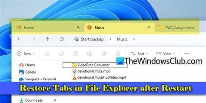 Do pinned tabs stay?