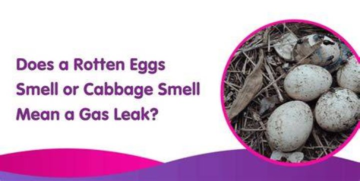 Do rotten eggs smell like?