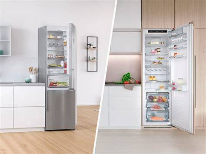 Do skips take fridges?