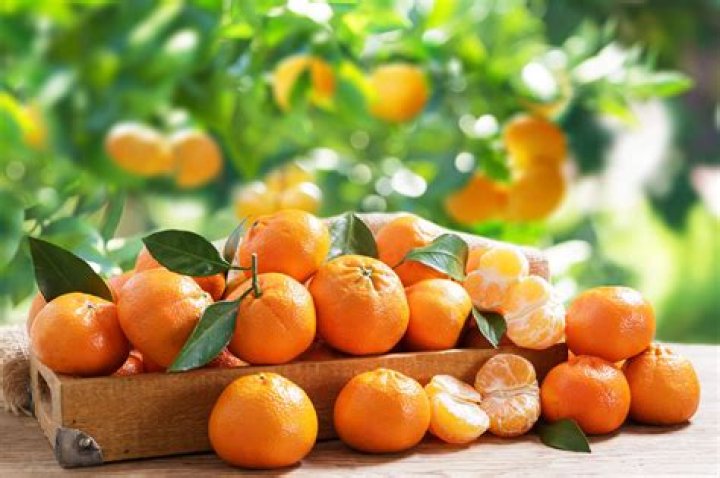 Do tangerines have a lot of sugar?